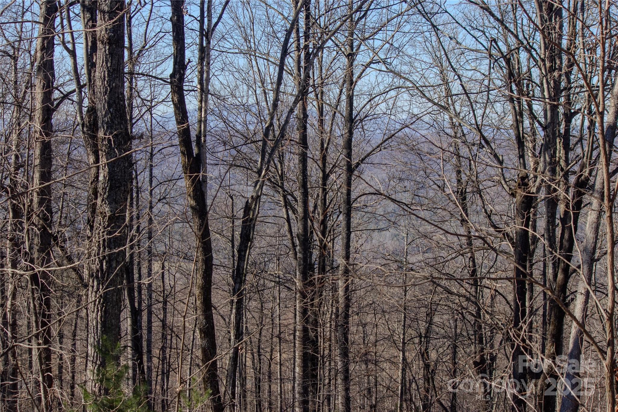 Grandfather View - Lenoir
