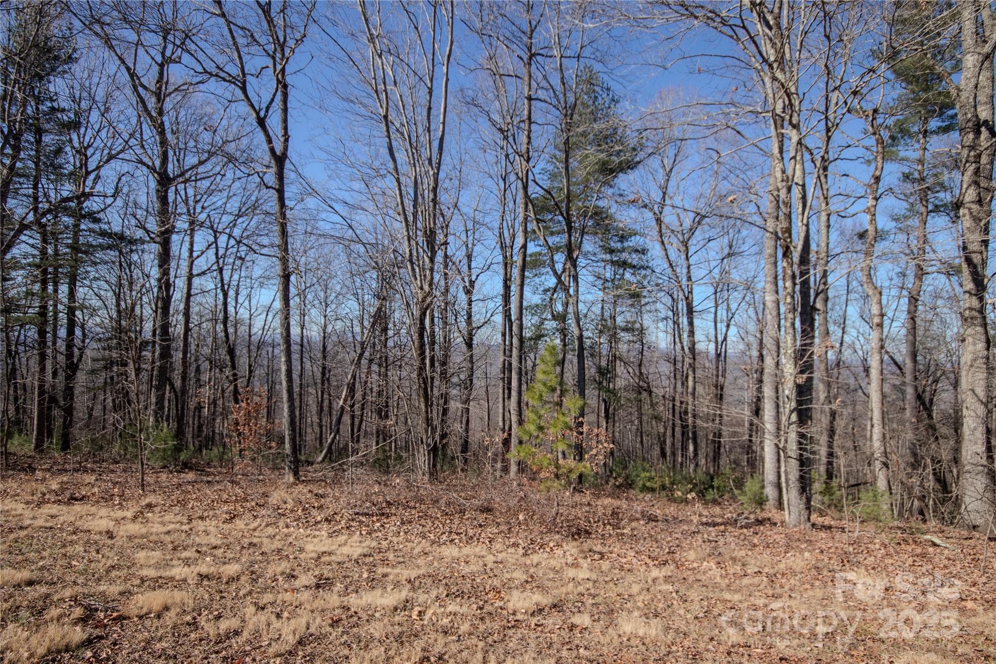 Long Range Views!!! - Lenoir