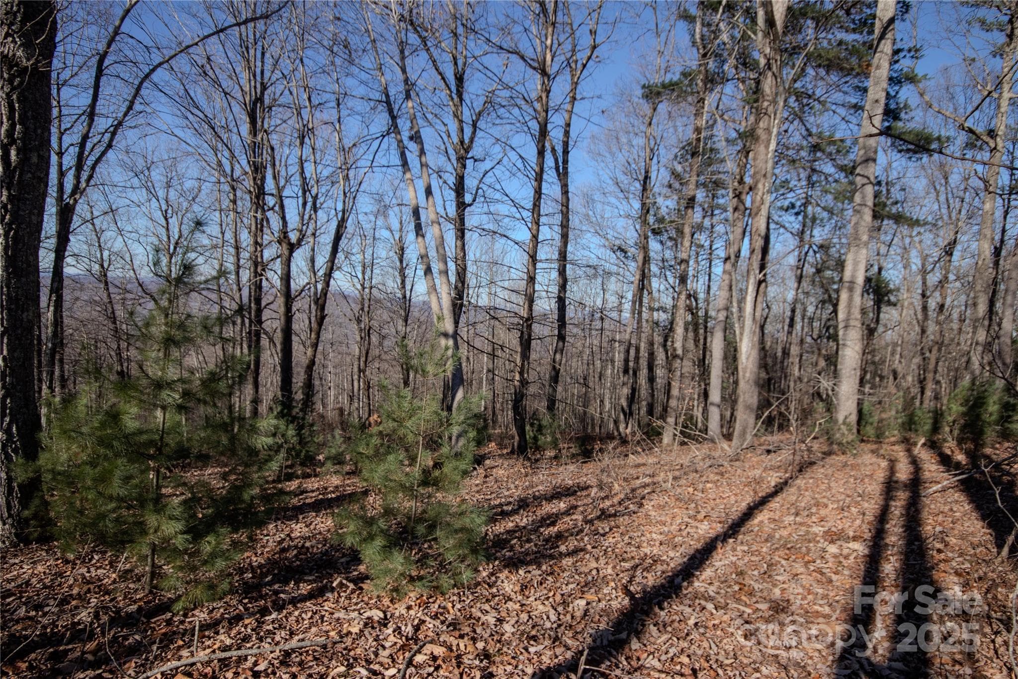 Lot at Lenoir, photo 6 of 7