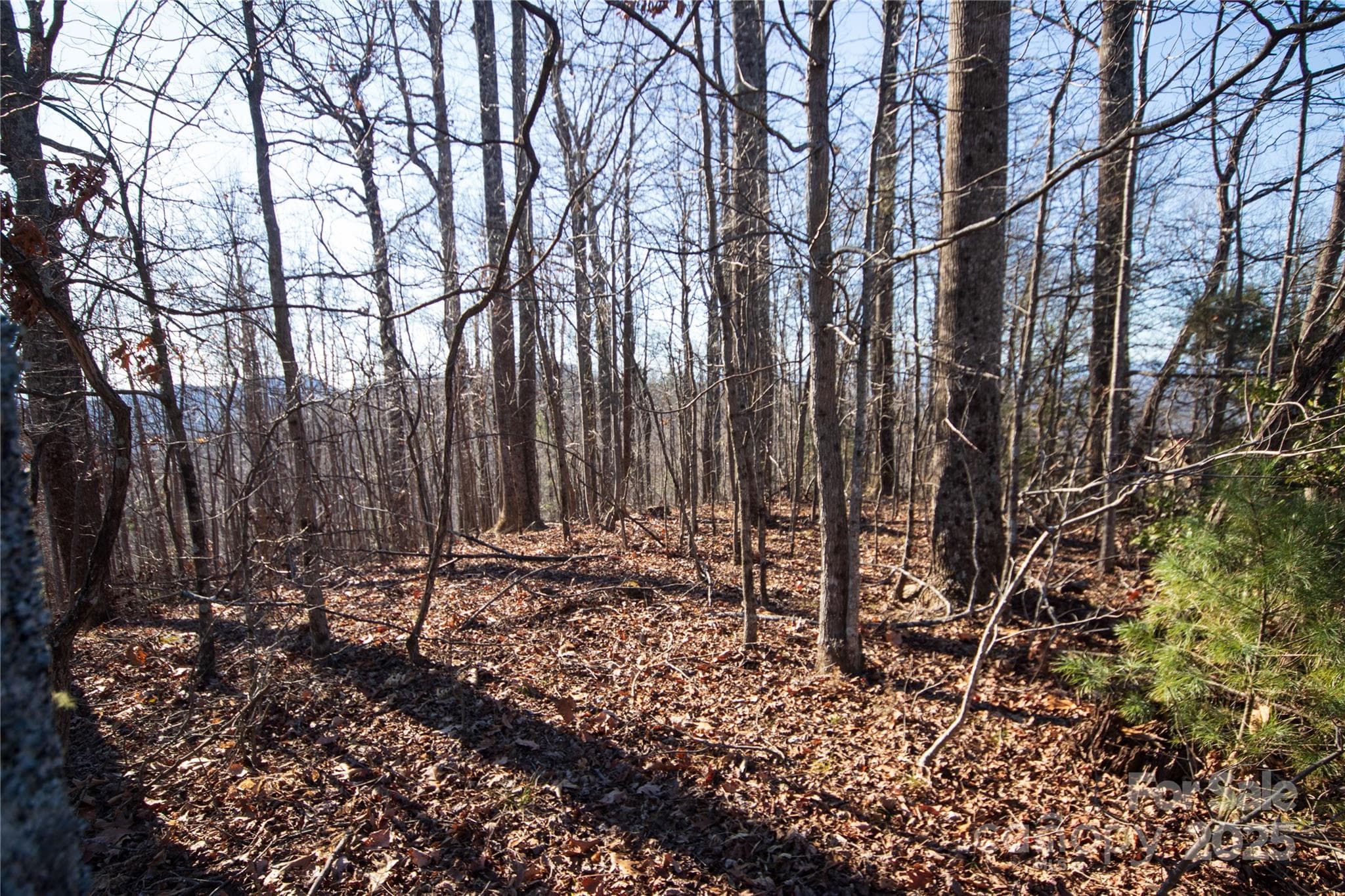 Lot at Lenoir, photo 4 of 8