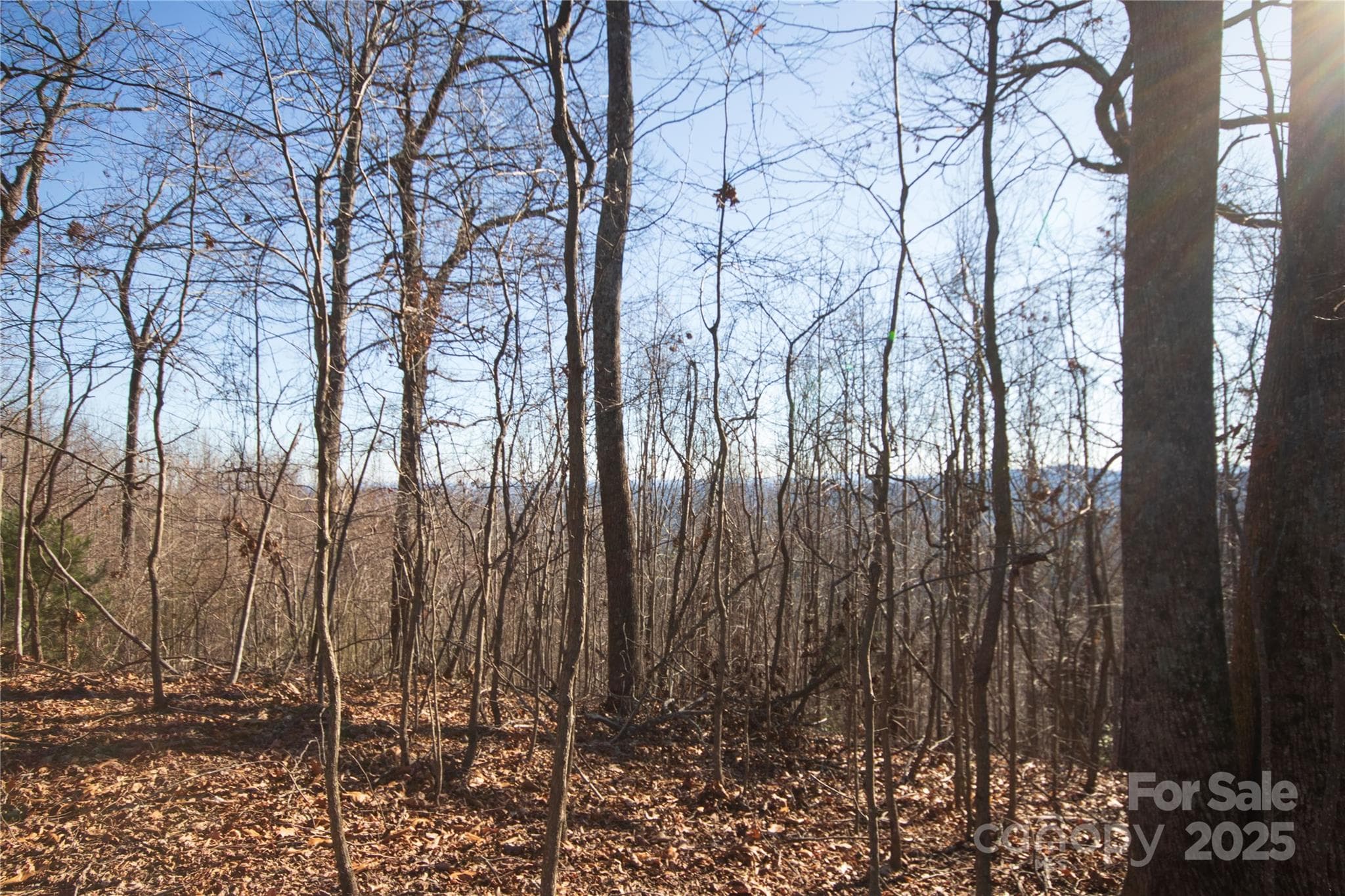 Great Building Site! - Lenoir