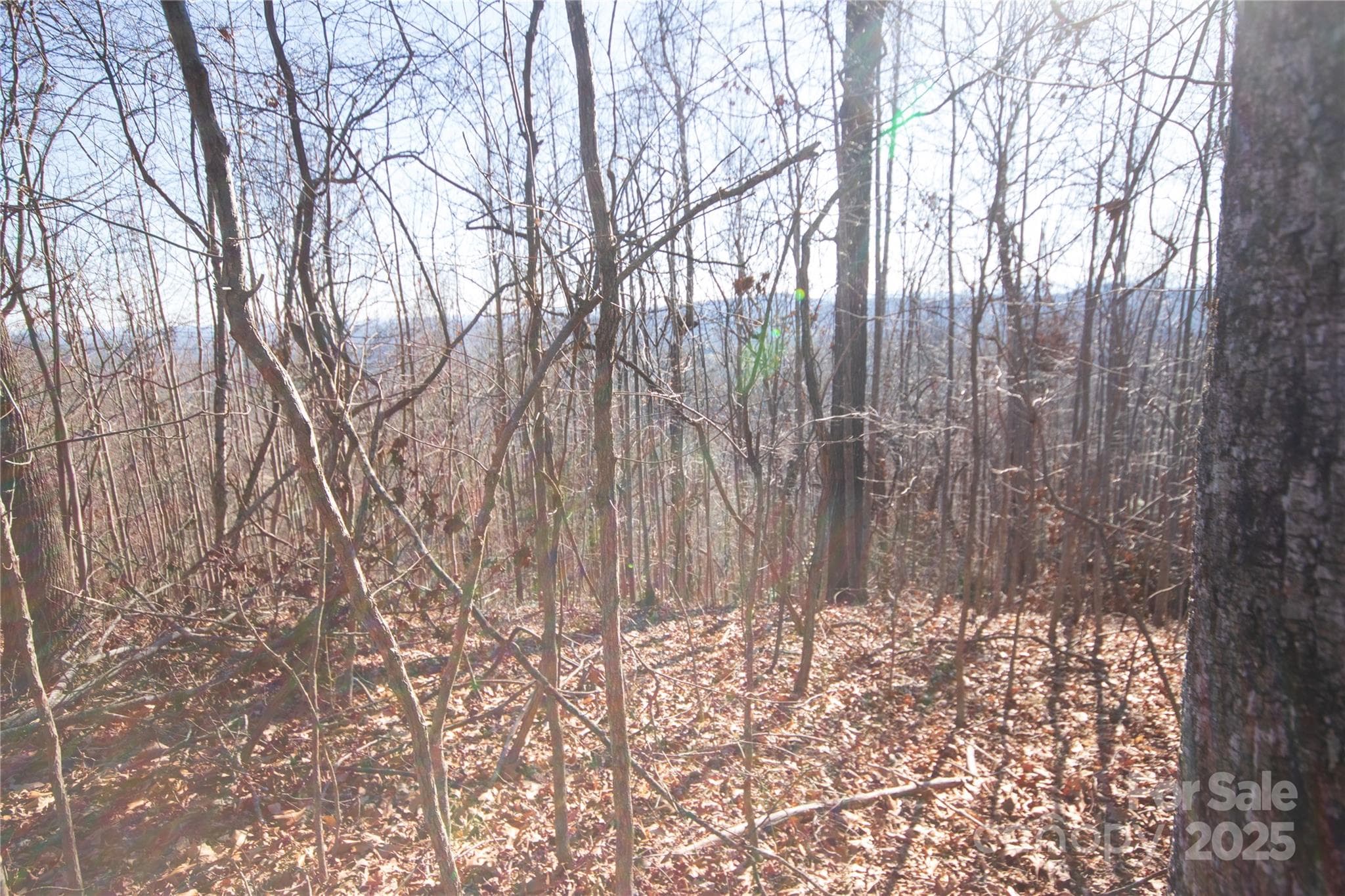 Lot at Lenoir, photo 6 of 8