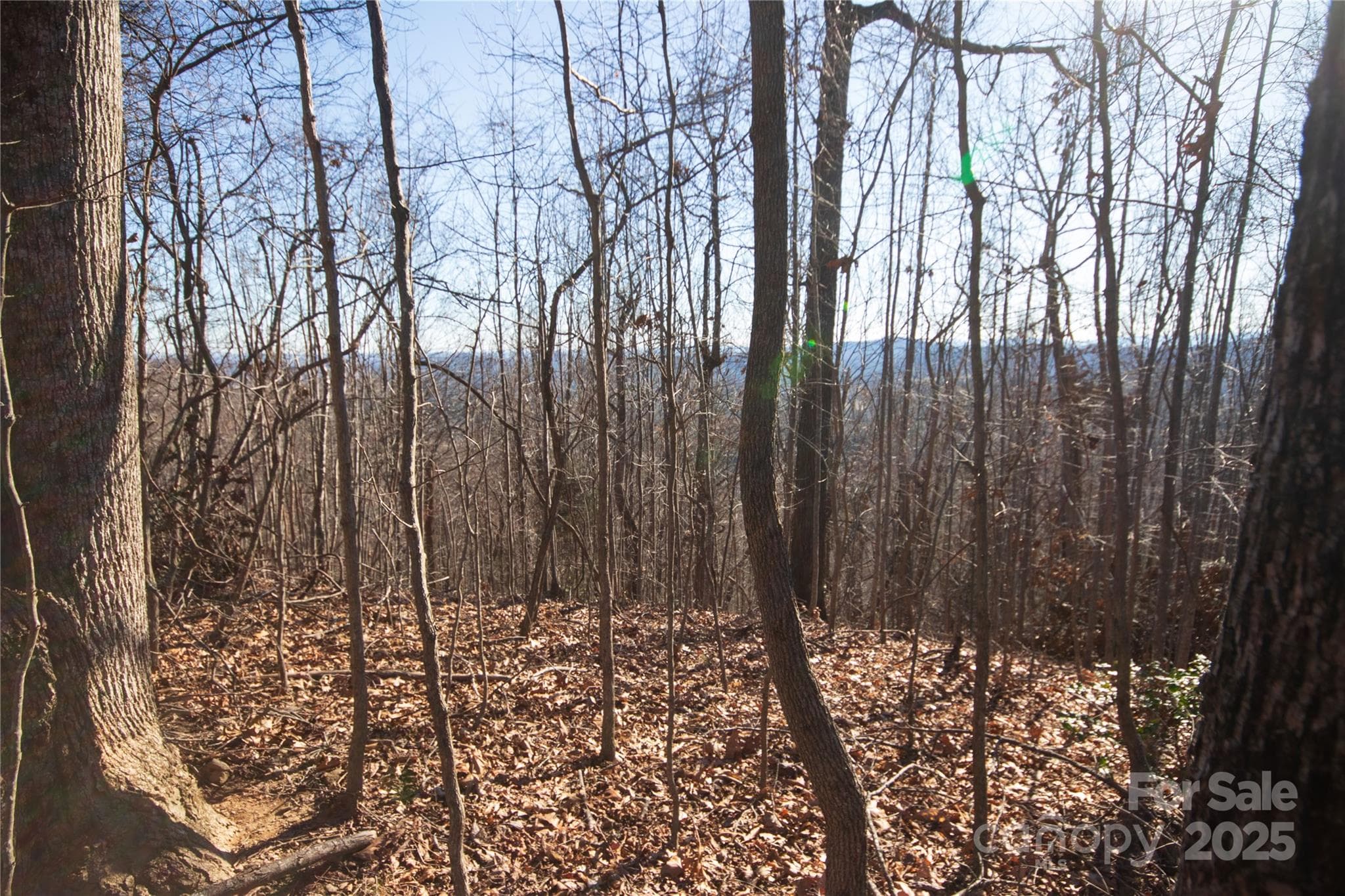 Long Range Views! - Lenoir