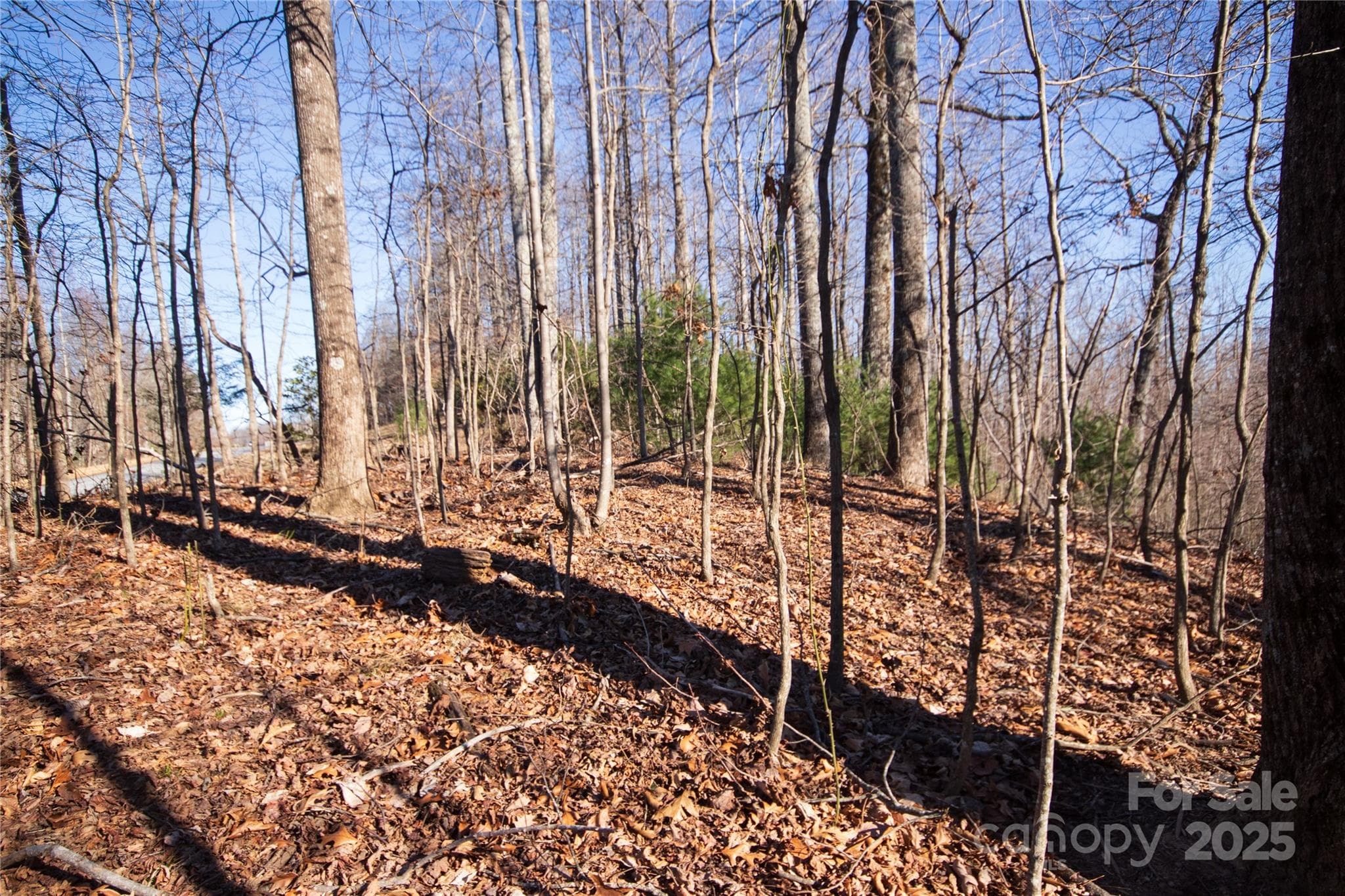 Lot at Lenoir, photo 8 of 8
