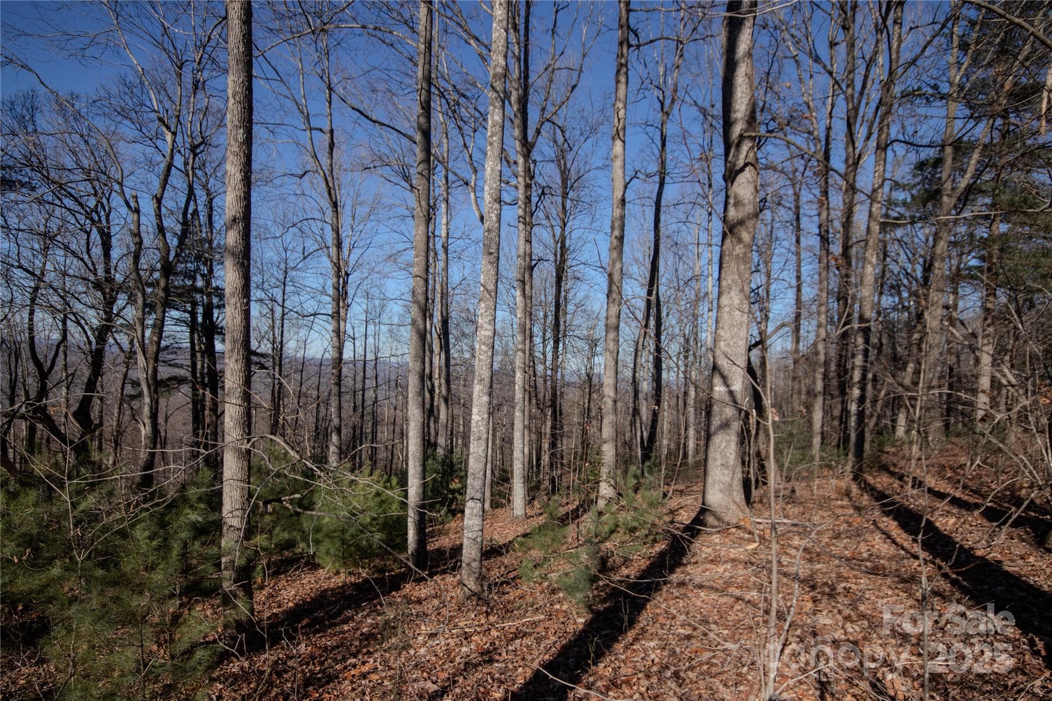 Great Building Site! - 2220 Nighthawk Ridge Court, Lenoir