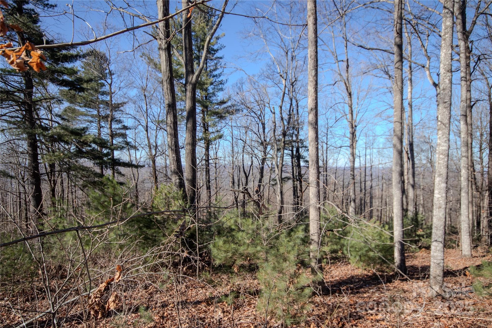 Long Range Mtn Views including Grandfather once cleared! - 2220 Nighthawk Ridge Court, Lenoir