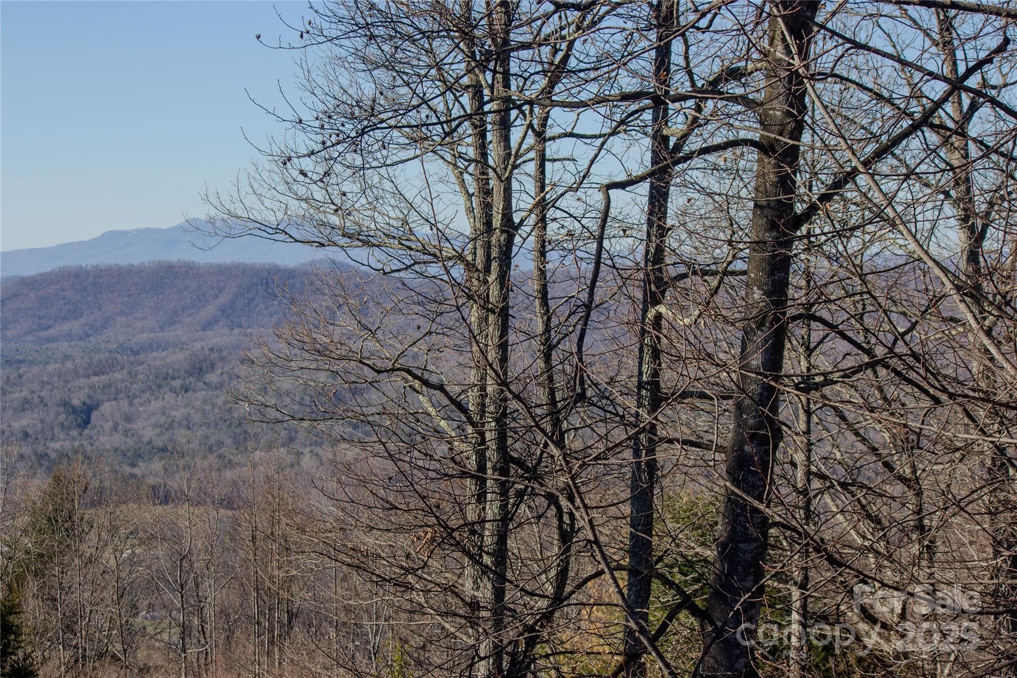 Grandfather Mtn view - 2220 Nighthawk Ridge Court, Lenoir