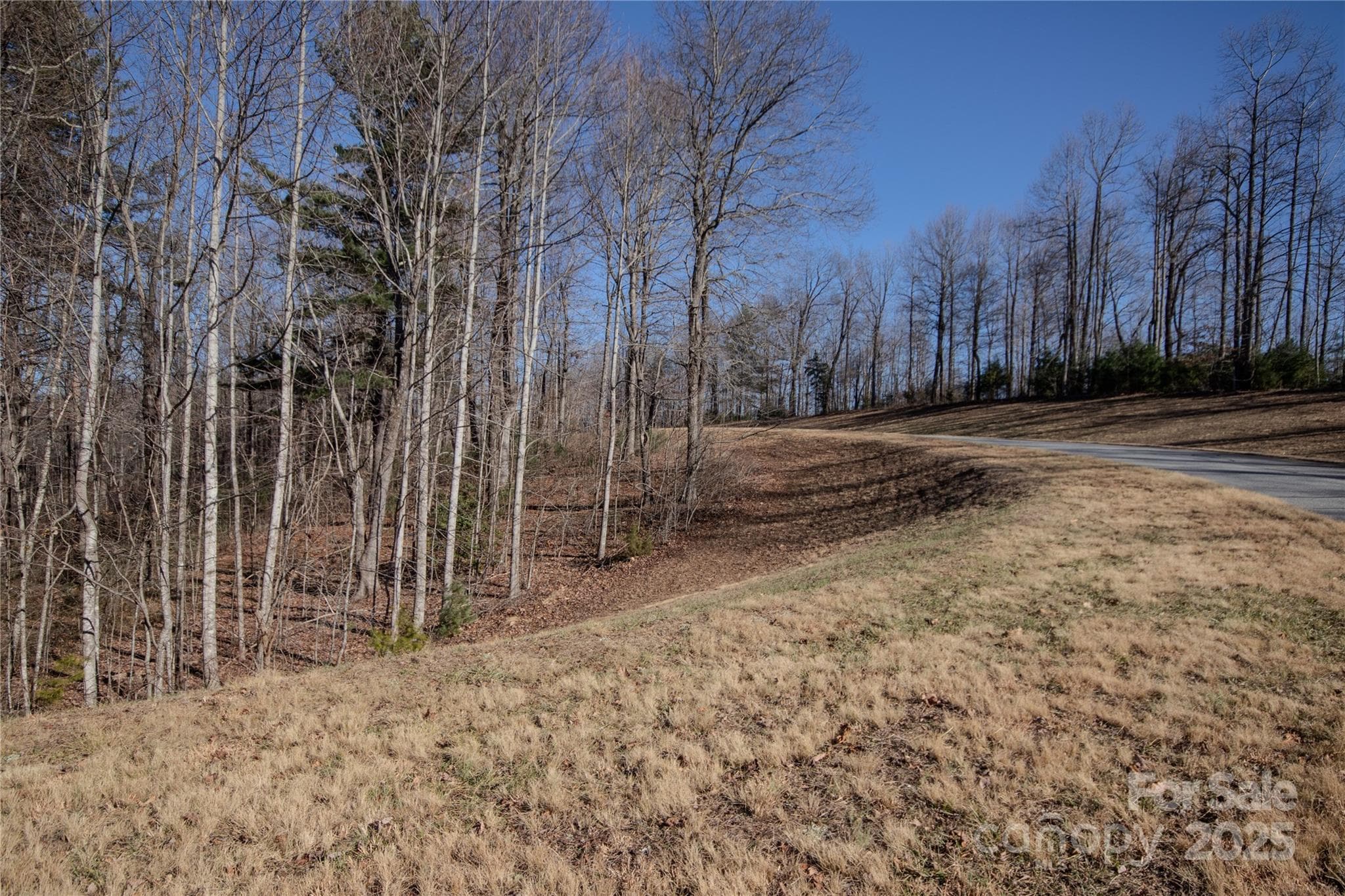 View of property and road frontage - 2220 Nighthawk Ridge Court, Lenoir
