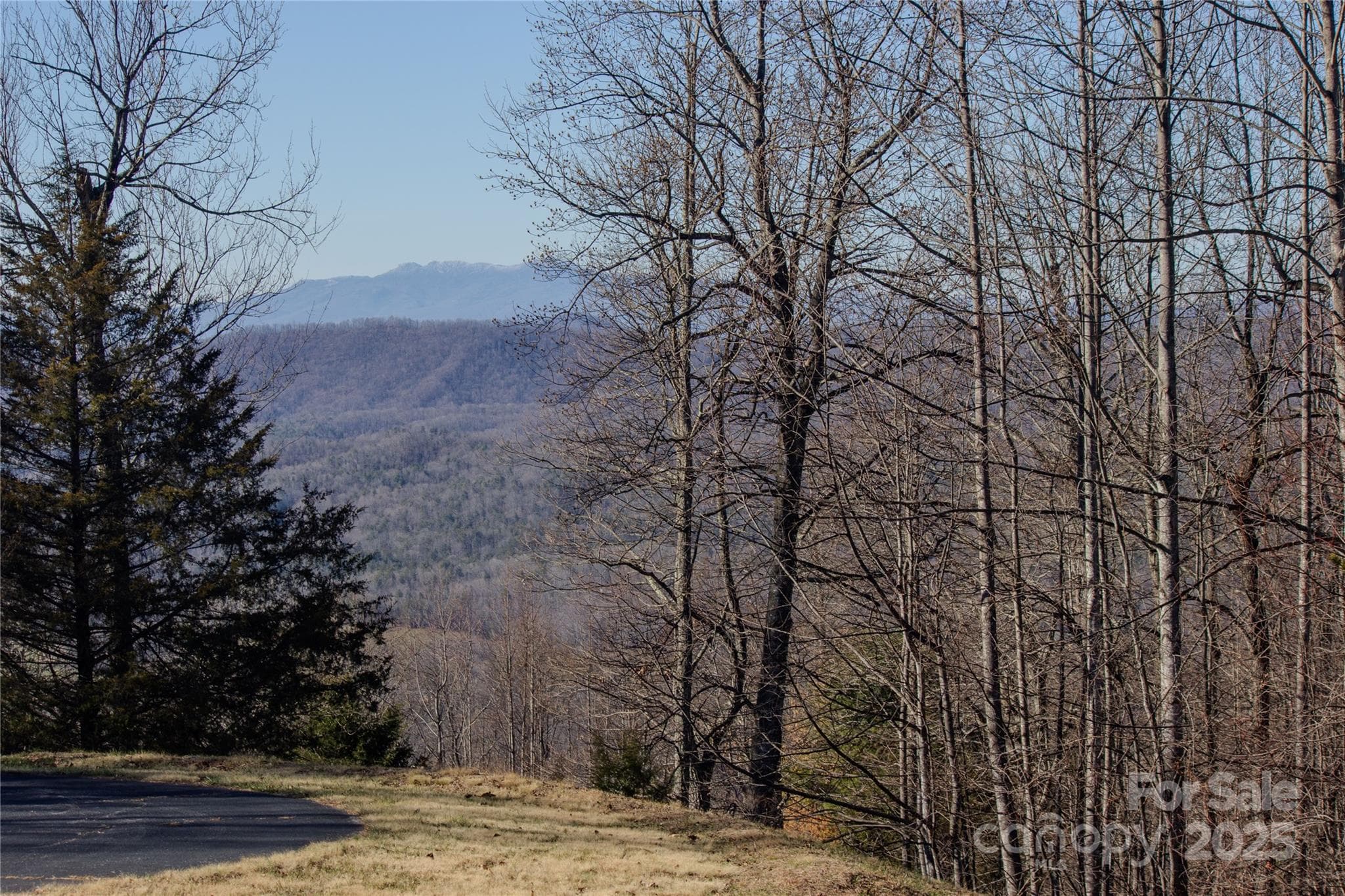 Grandfather Mtn - lot to the right - 2220 Nighthawk Ridge Court, Lenoir