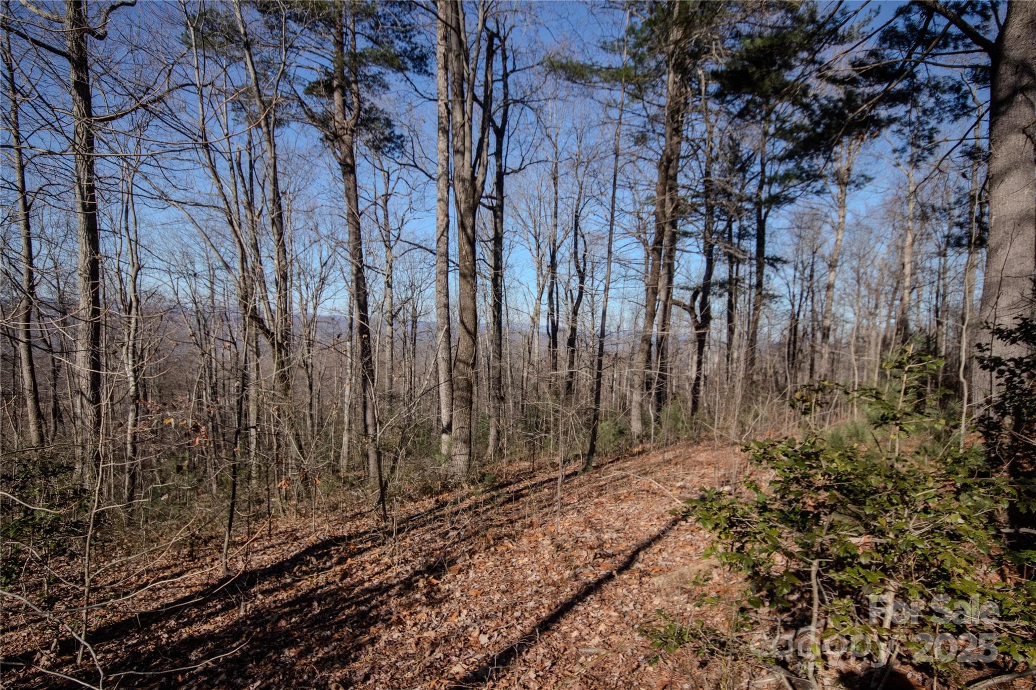 Lot at 2220 Nighthawk Ridge Court, Lenoir, photo 10 of 16