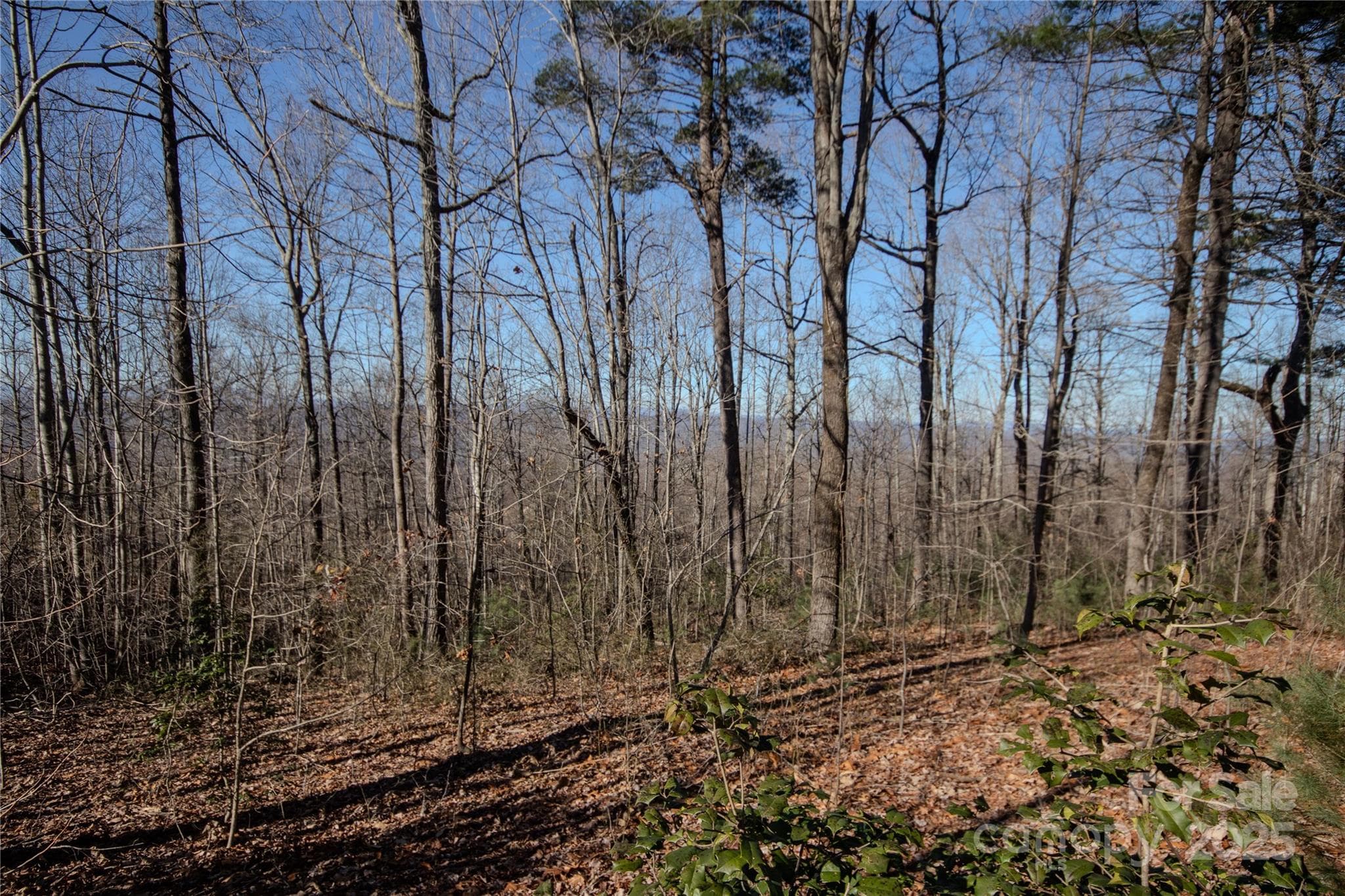 Lot at 2220 Nighthawk Ridge Court, Lenoir, photo 11 of 16