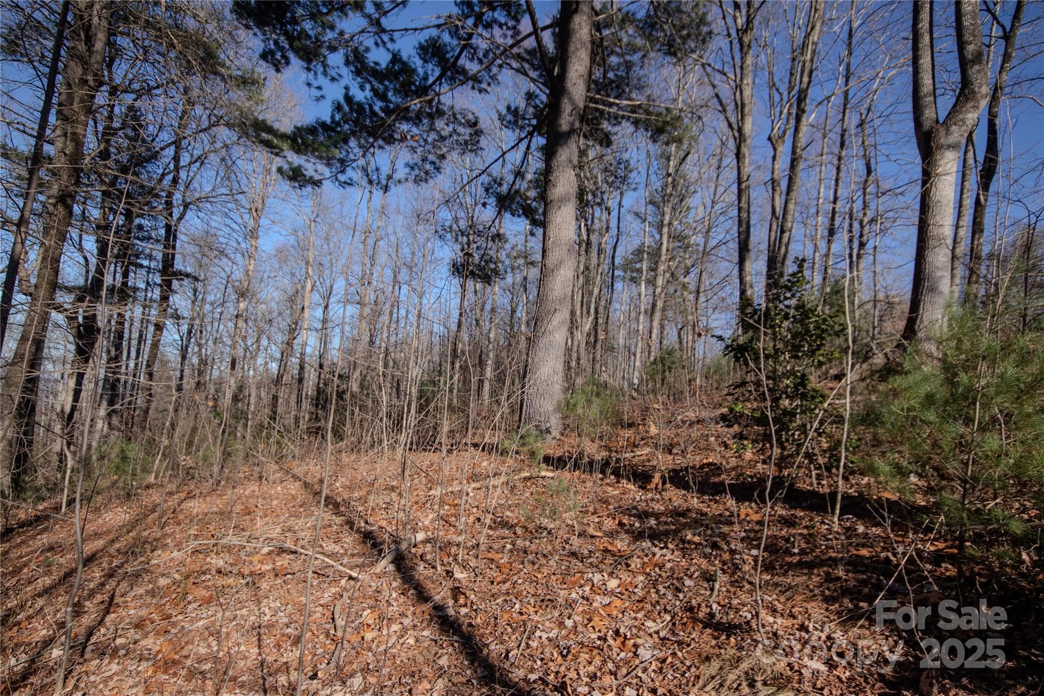 Lot at 2220 Nighthawk Ridge Court, Lenoir, photo 12 of 16