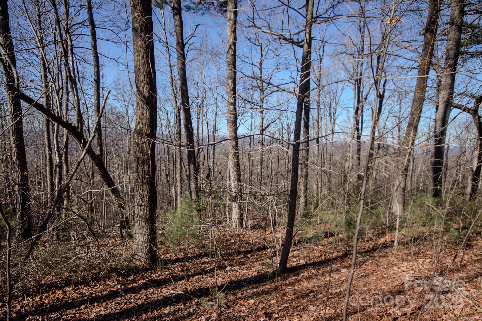 Lot at 2220 Nighthawk Ridge Court, Lenoir, photo 13 of 16
