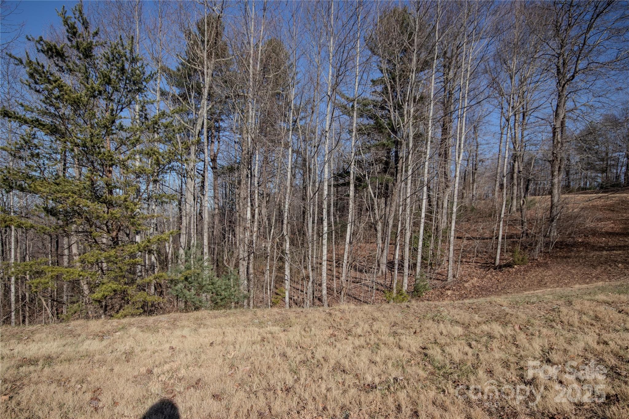 Lot at 2220 Nighthawk Ridge Court, Lenoir, photo 14 of 16