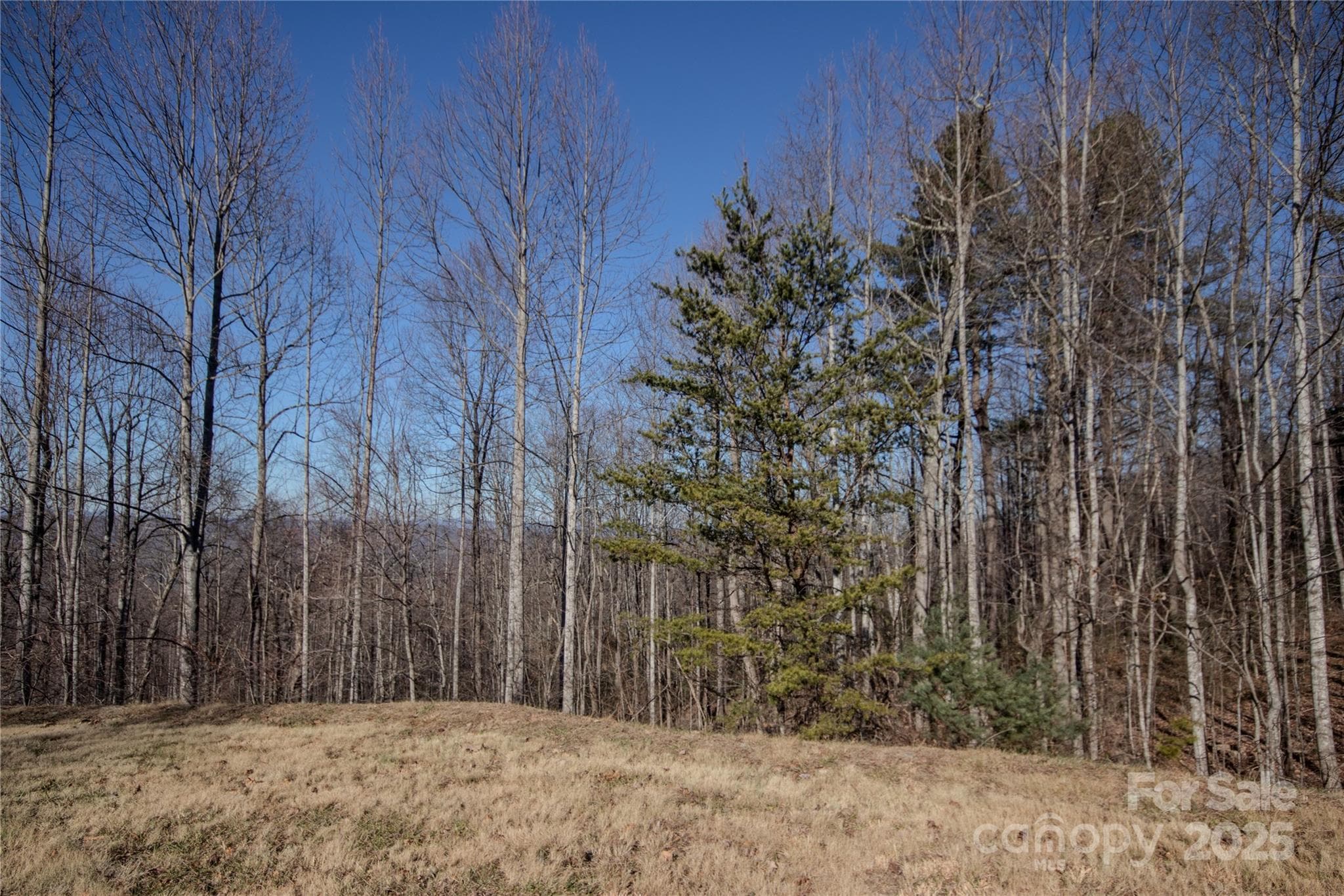 Lot at 2220 Nighthawk Ridge Court, Lenoir, photo 15 of 16