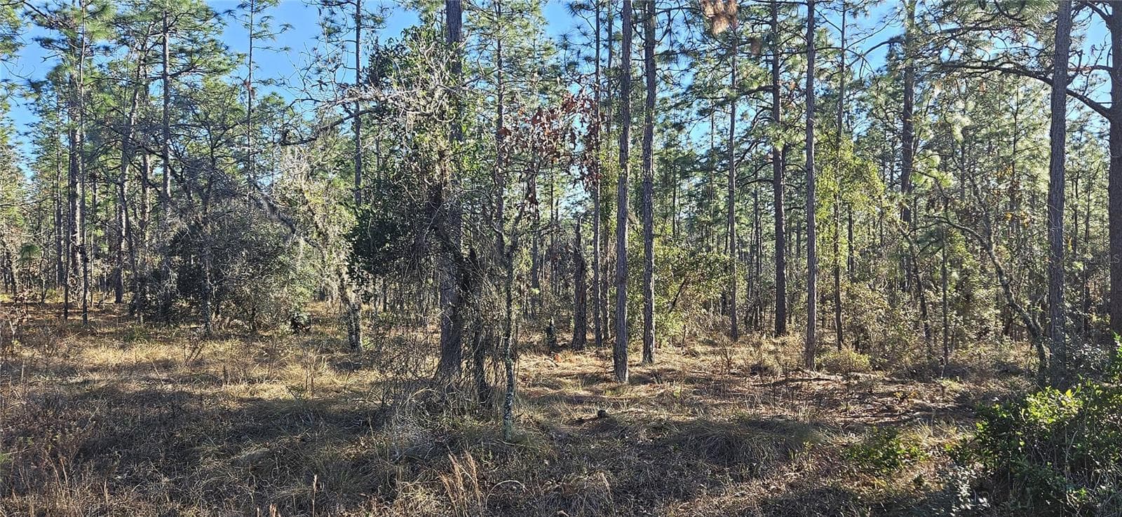 Lot 13 NW WATER OAK AVENUE