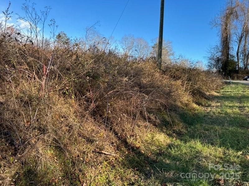 Lot at 2733 Billings Hill Church Road, Traphill, photo 2 of 3
