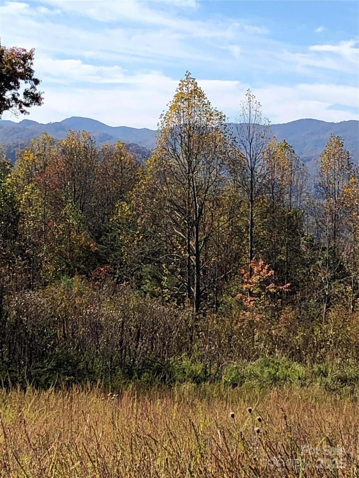 Lot at Marshall, photo 2 of 22