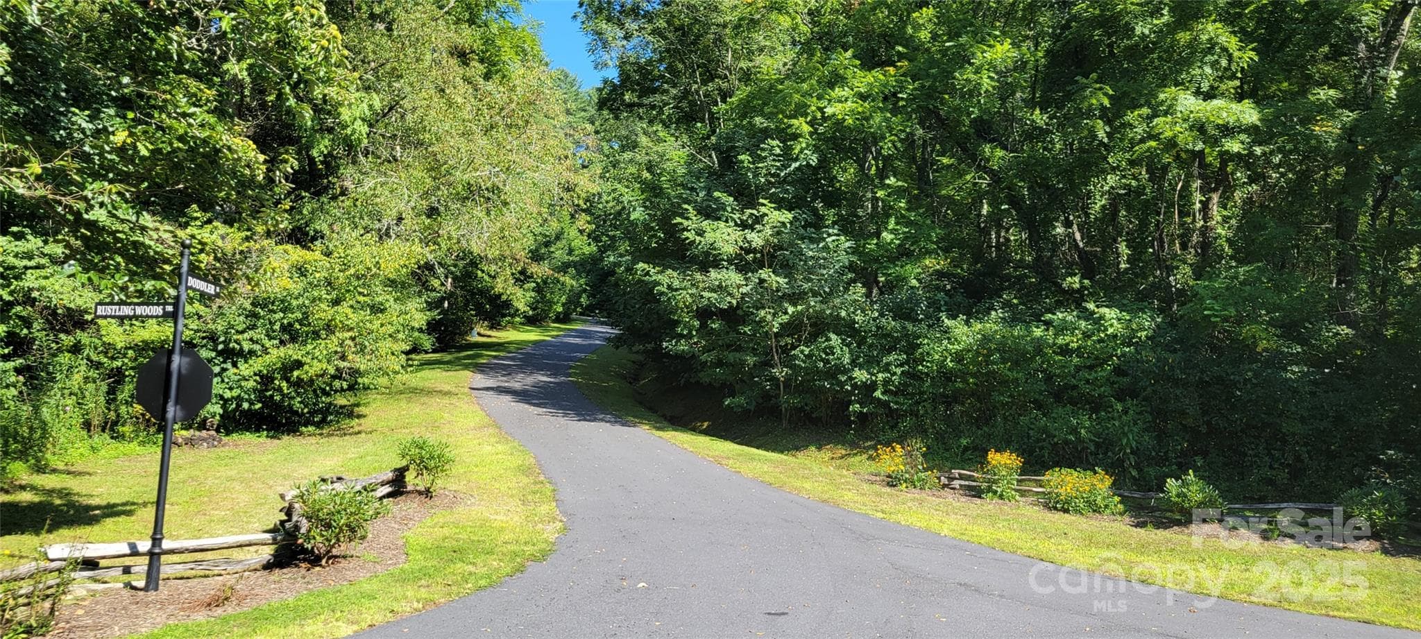 Dodder Rd - 1st spur road on left not far from security gate - 43 Dodder Lane, Cullowhee