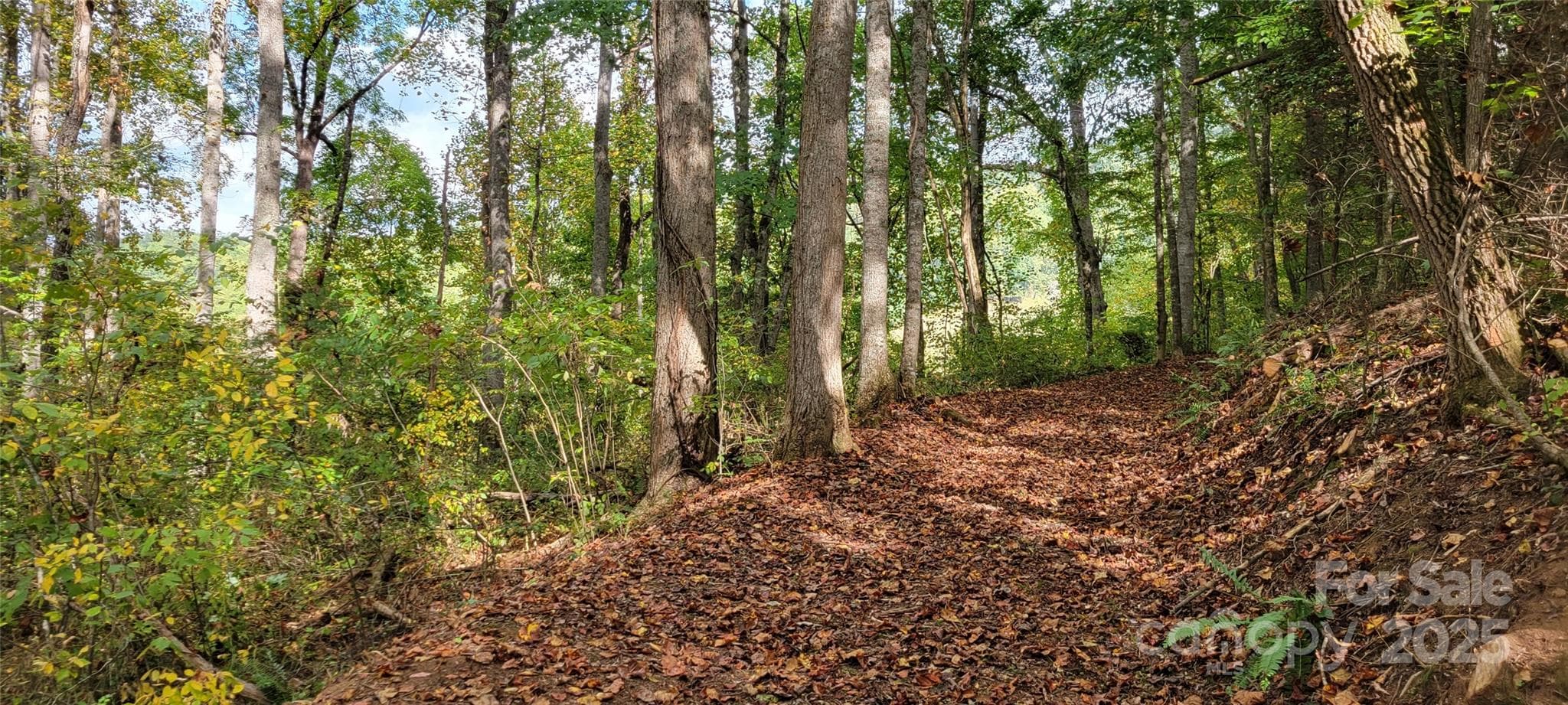 Extended rough grade driveway - 43 Dodder Lane, Cullowhee