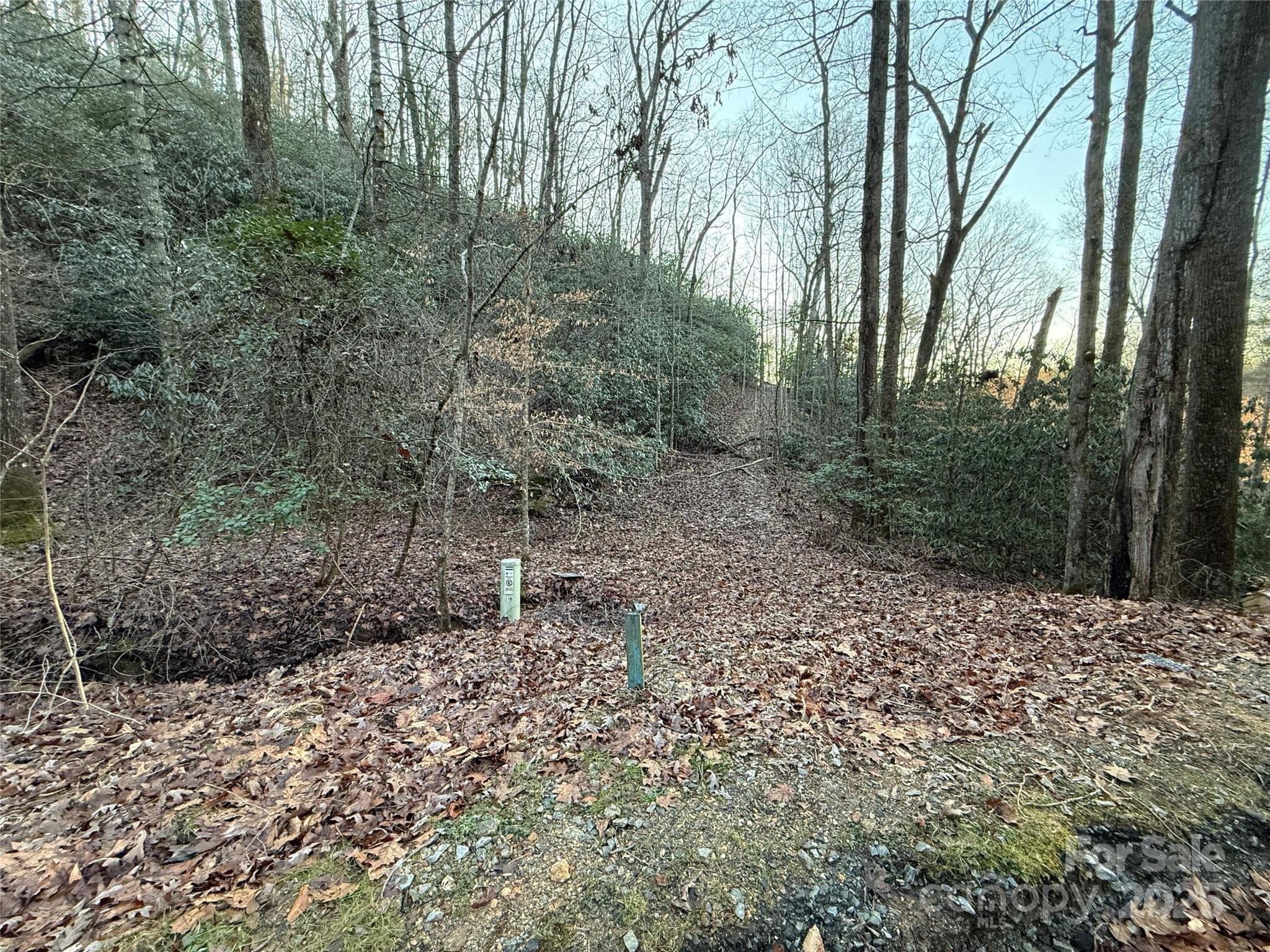 Roughed in driveway from road - 5538 Spring Road, Hendersonville