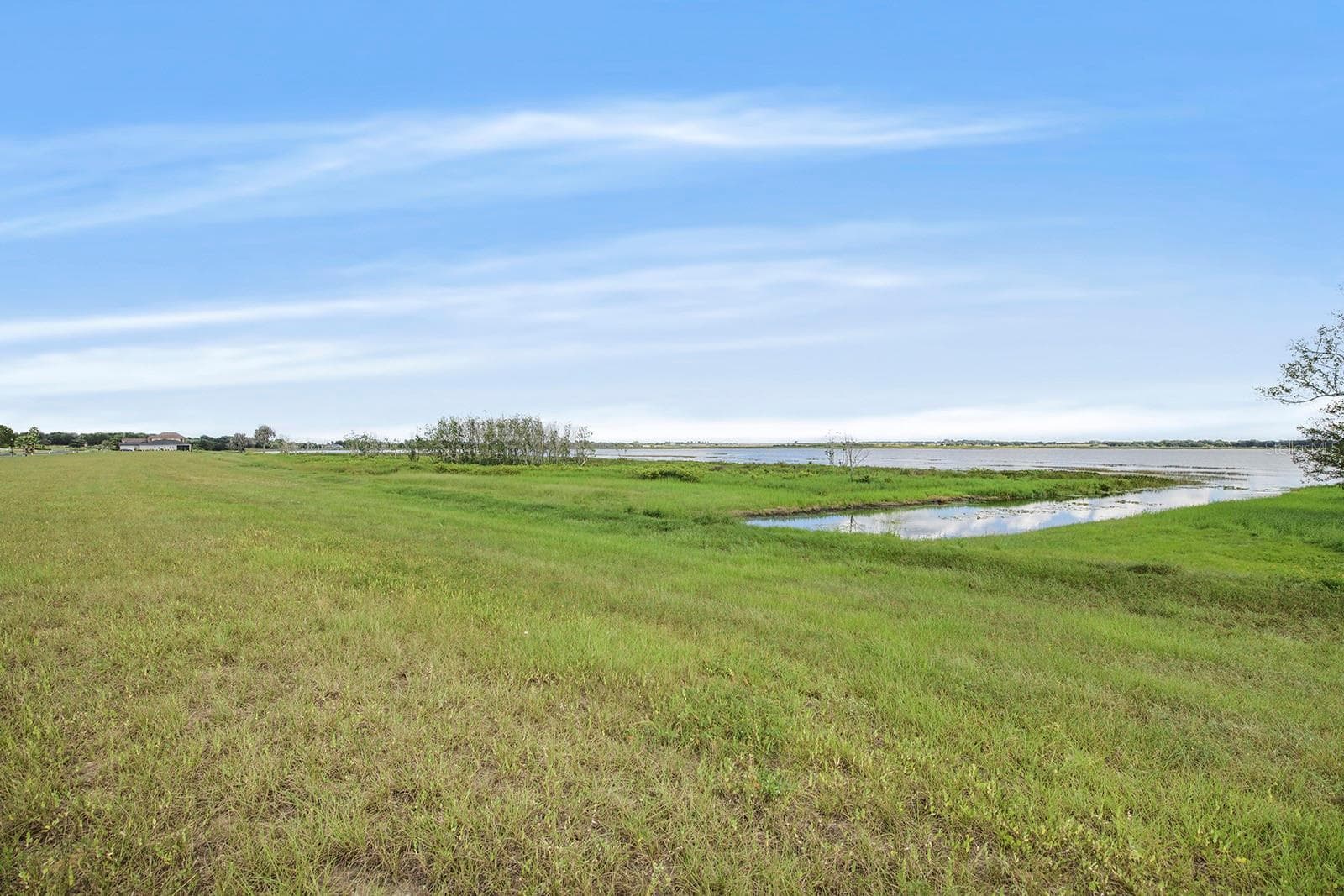 Land at 288 CALADIUM AVE, LAKE ALFRED, photo 3 of 44