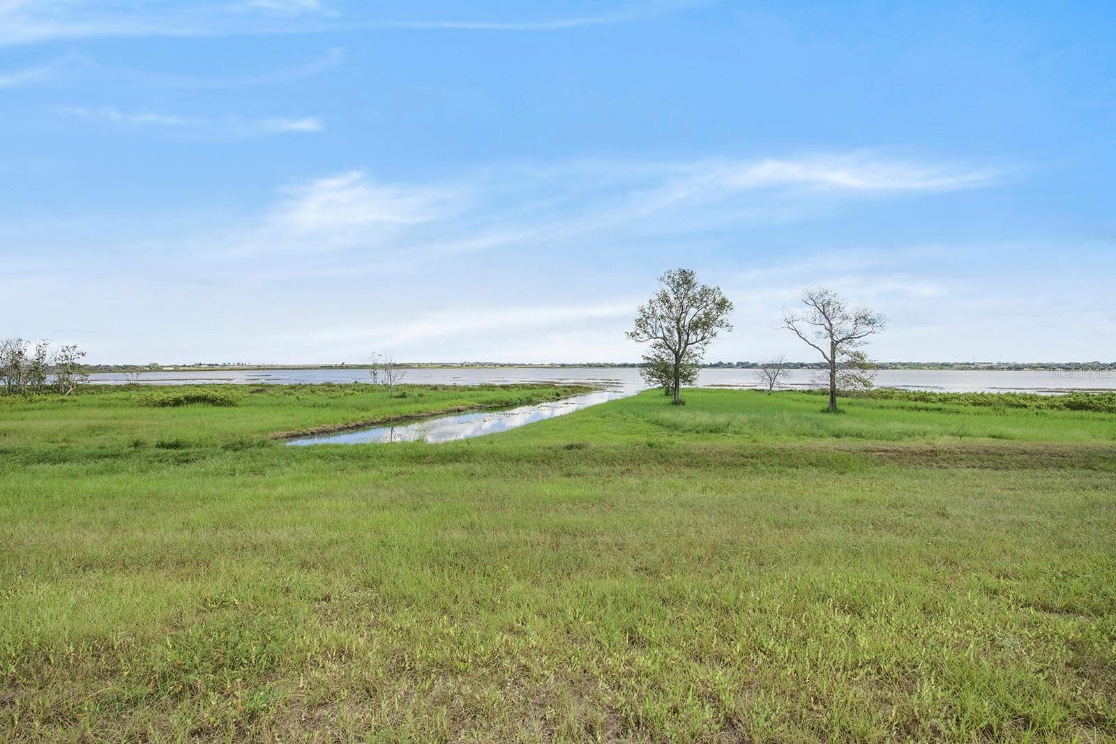 Land at 288 CALADIUM AVE, LAKE ALFRED, photo 4 of 44