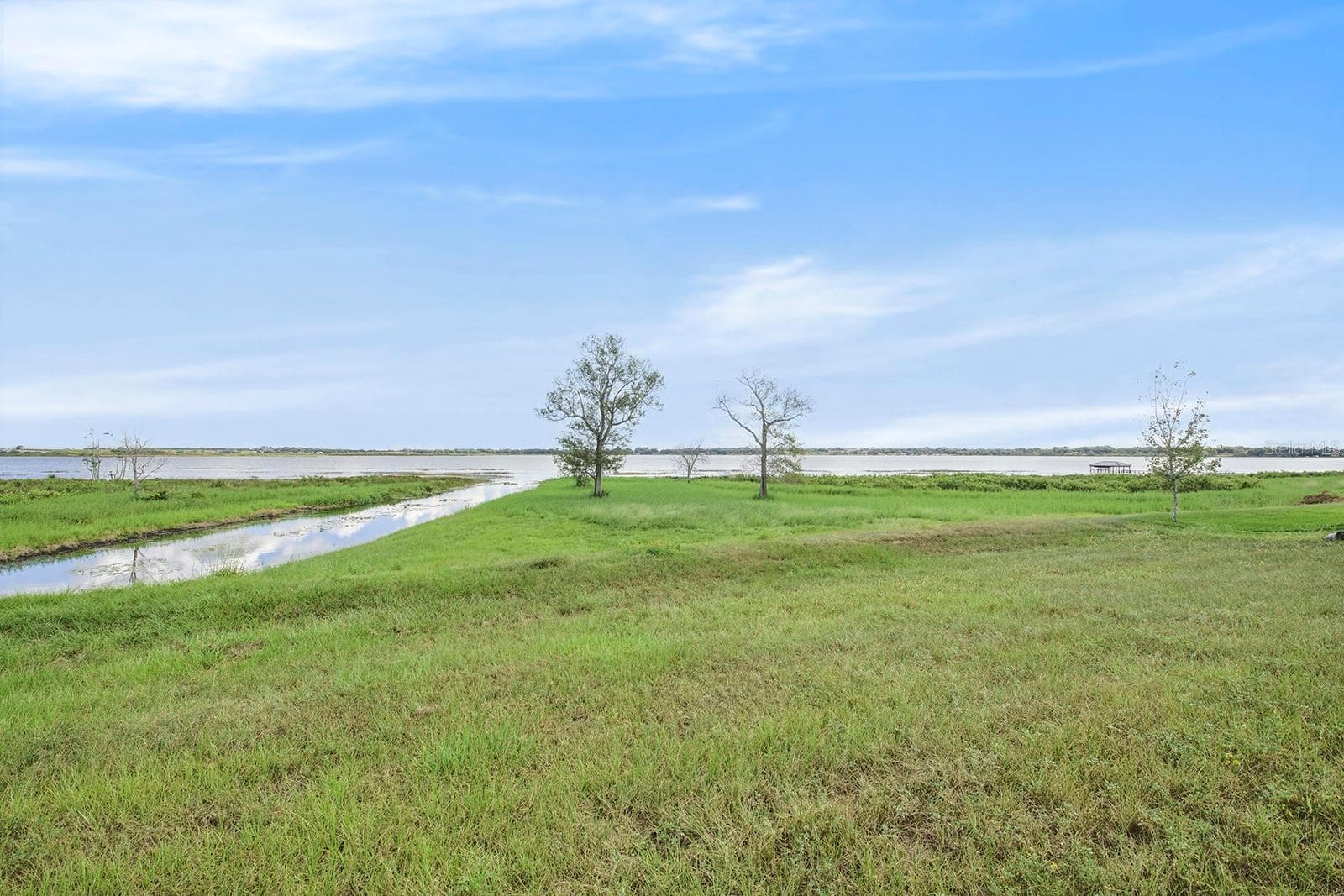 Land at 288 CALADIUM AVE, LAKE ALFRED, photo 5 of 44