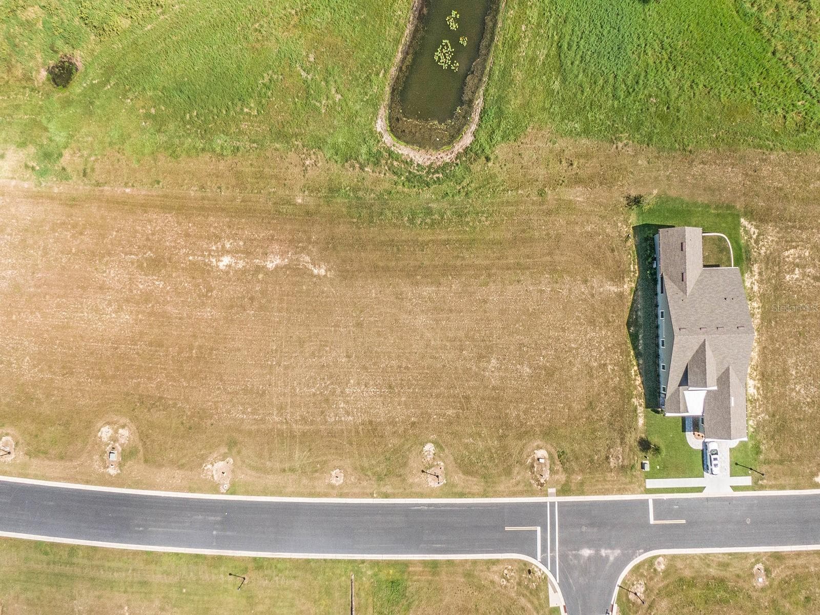 Land at 288 CALADIUM AVE, LAKE ALFRED, photo 13 of 44