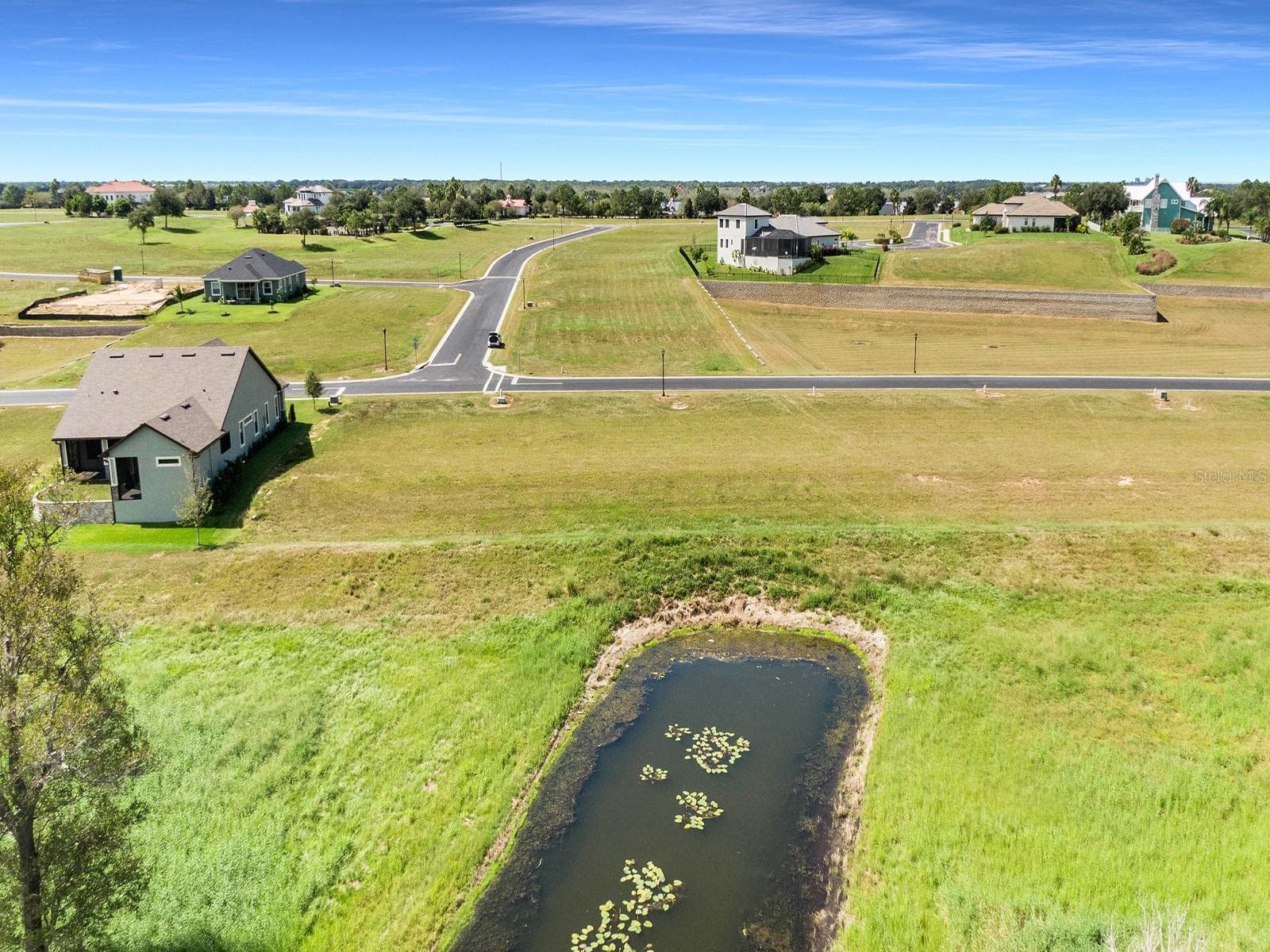 Land at 288 CALADIUM AVE, LAKE ALFRED, photo 14 of 44