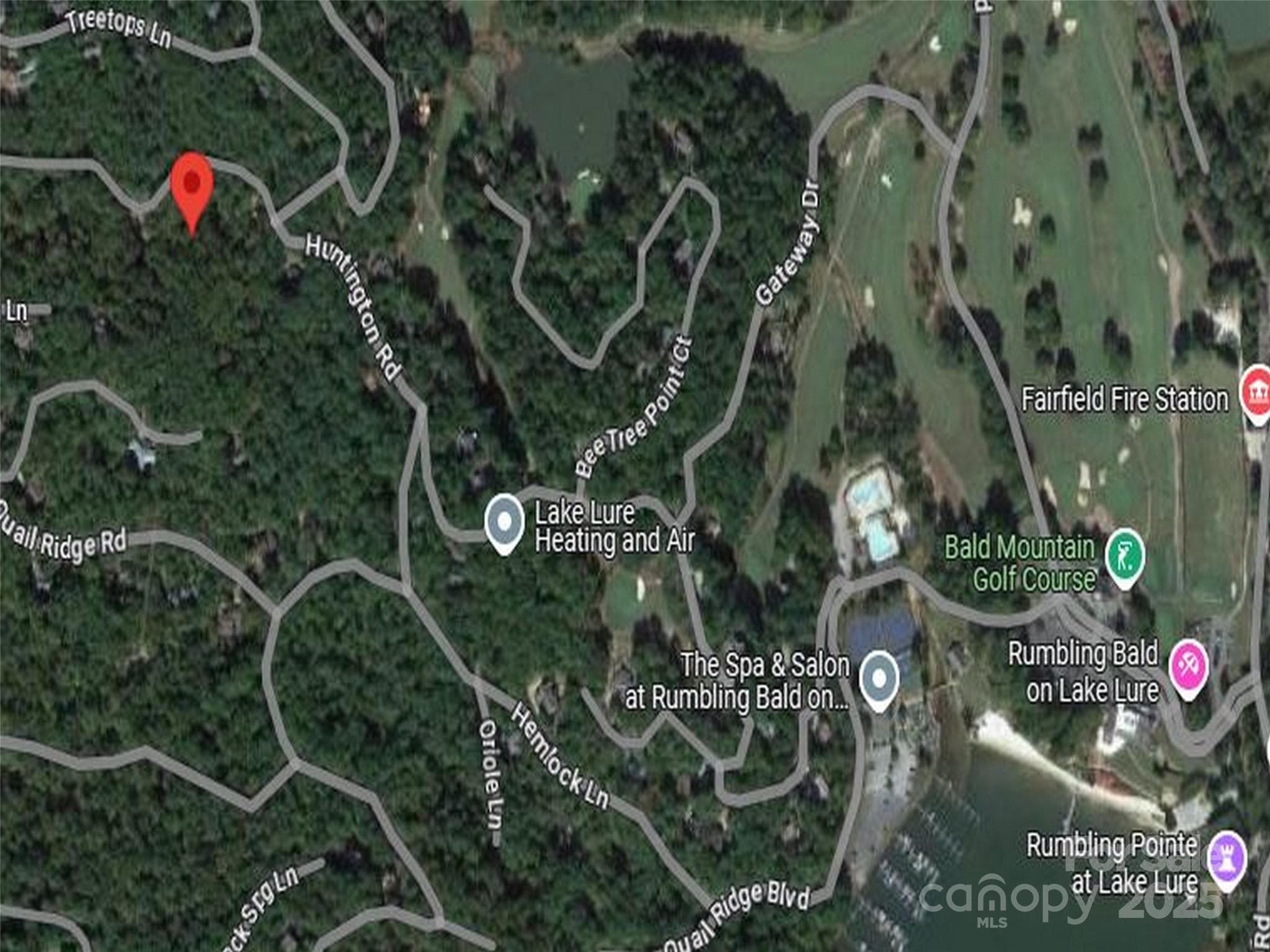 Lot at Lake Lure, photo 7 of 12