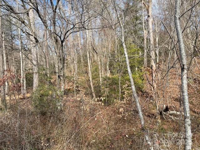 Acreage at Old Fort, photo 2 of 5