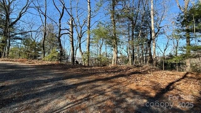 Potential entryway to driveway/parking. - Lake Lure