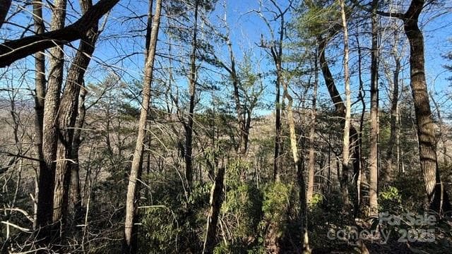 Lot at Lake Lure, photo 3 of 23