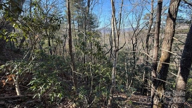 Slope - Lake Lure