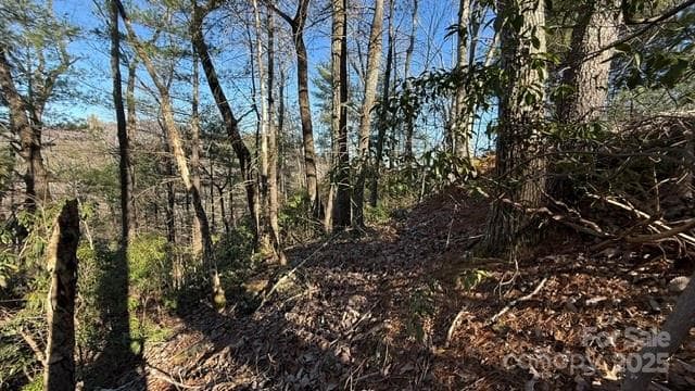 Slope on the right side of the property from the road. - Lake Lure