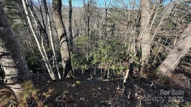 Steep Slope on the left side of the lot. - Lake Lure