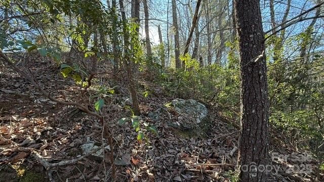 Lot at Lake Lure, photo 7 of 23