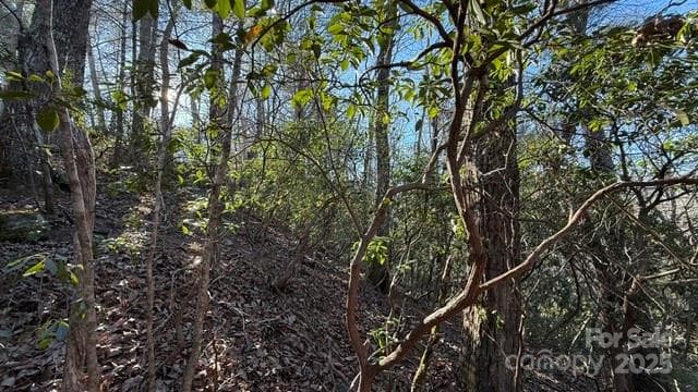 Lot at Lake Lure, photo 8 of 23