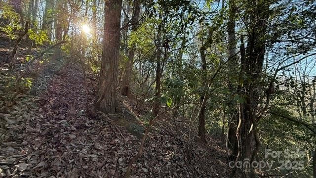 Lot at Lake Lure, photo 9 of 23