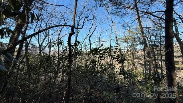 Lot at Lake Lure, photo 16 of 23