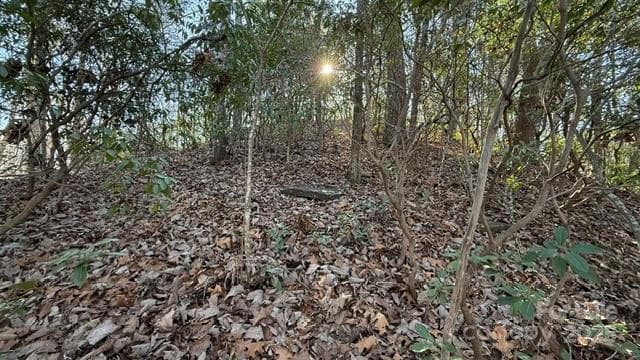 Lot at Lake Lure, photo 17 of 23