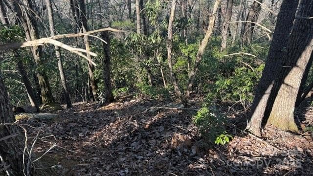 Lot at Lake Lure, photo 18 of 23
