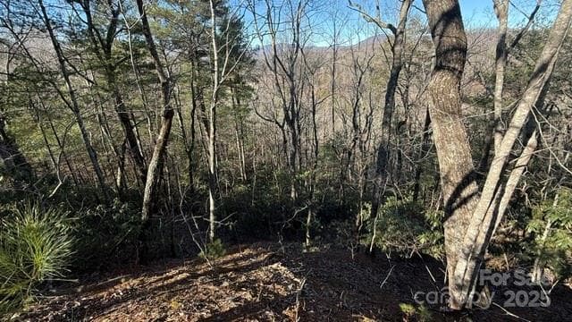Slope on the left side of the lot. - Lake Lure