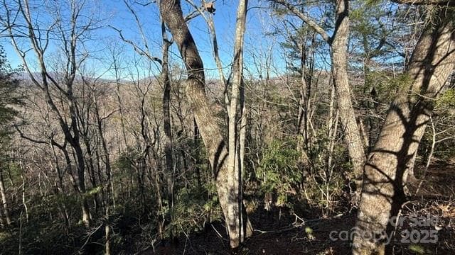 Lot at Lake Lure, photo 20 of 23