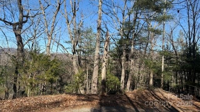 Lot at Lake Lure, photo 21 of 23