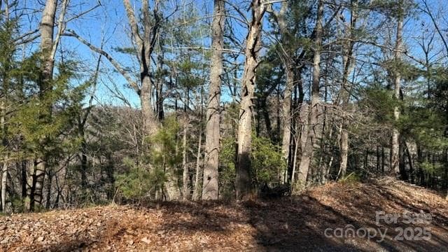Lot at Lake Lure, photo 22 of 23