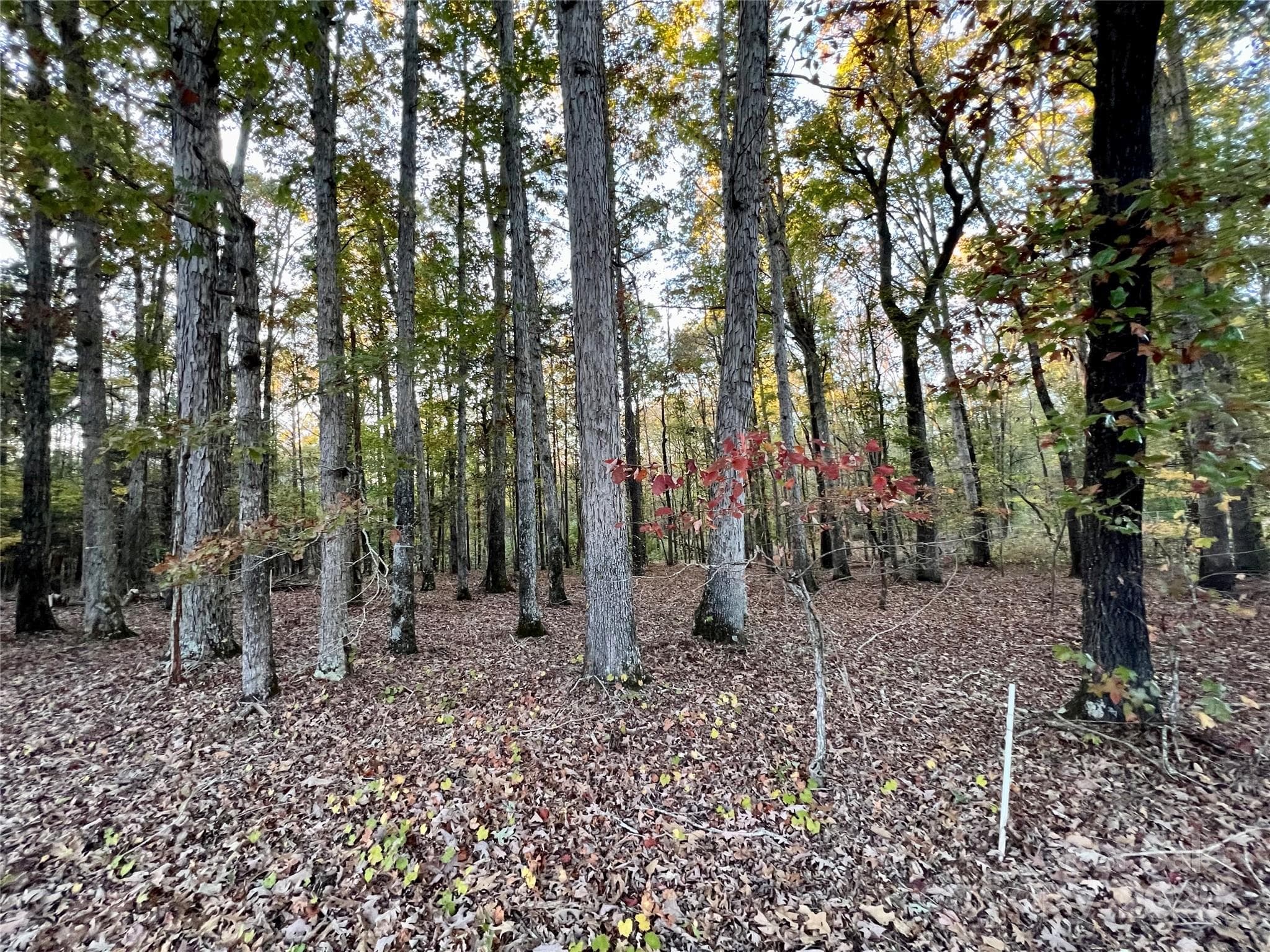 Acreage at 00 Charlotte Highway, Lancaster, photo 8 of 15