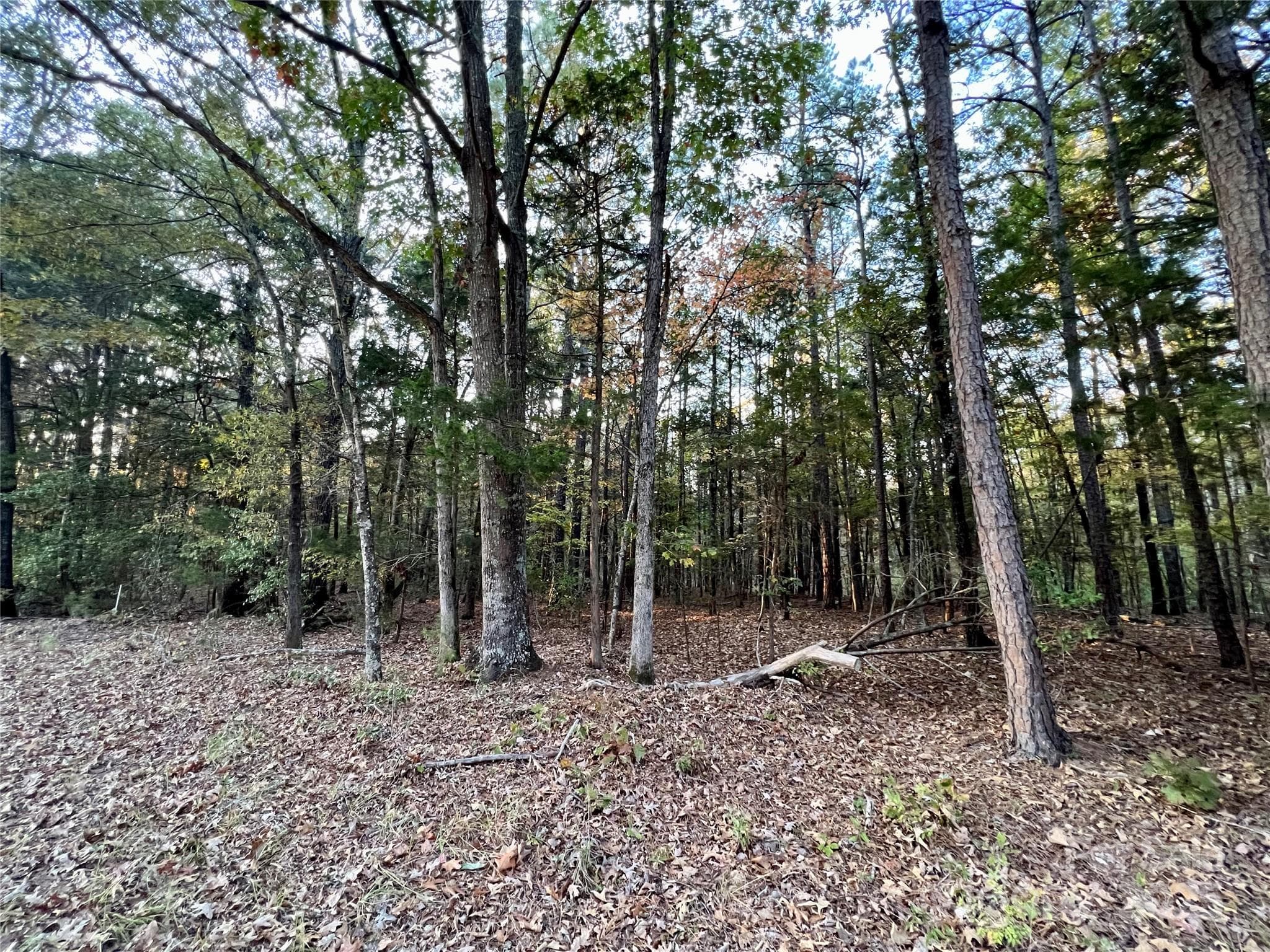 Acreage at 00 Charlotte Highway, Lancaster, photo 12 of 15