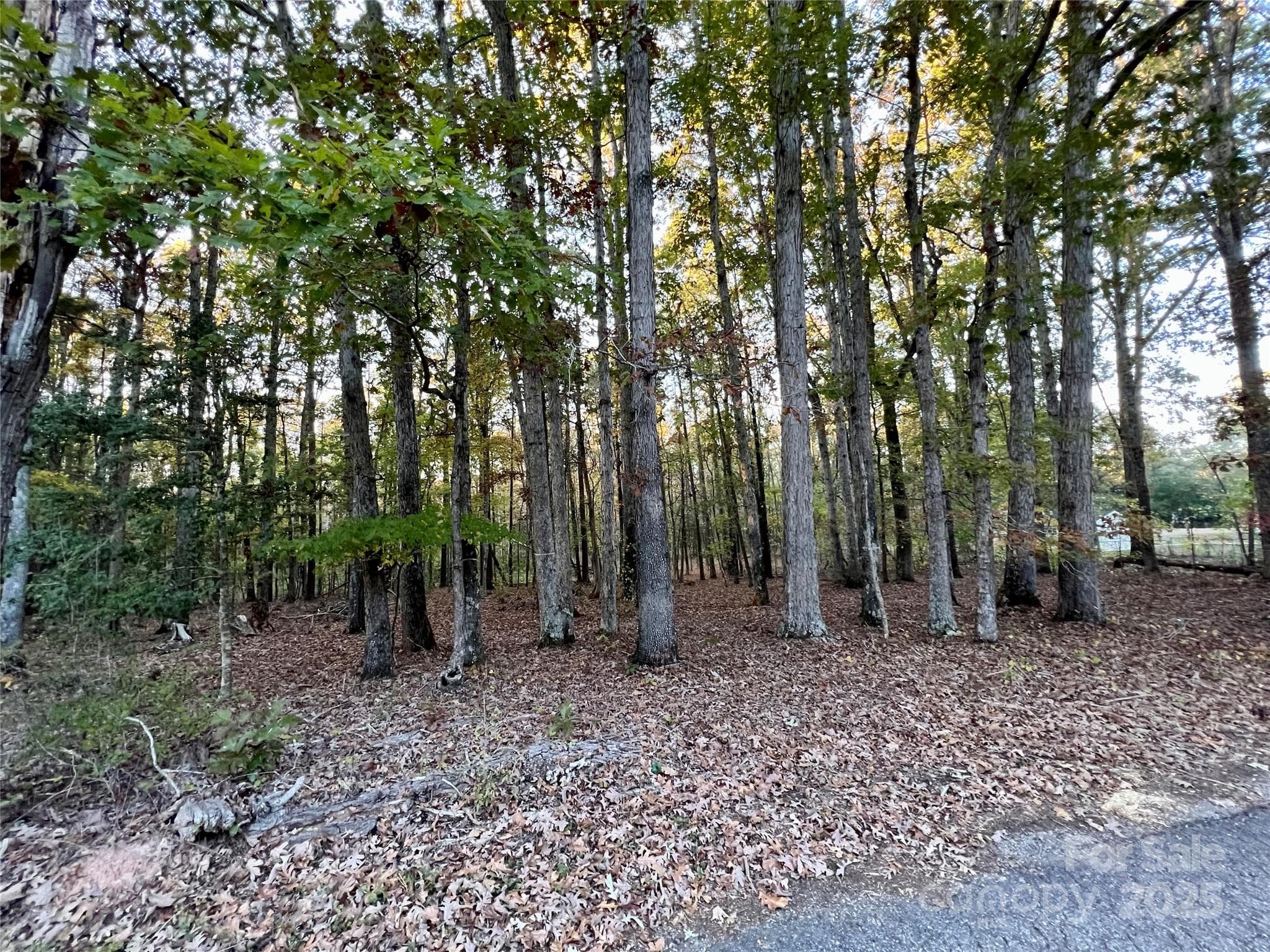 Acreage at 00 Charlotte Highway, Lancaster, photo 15 of 15